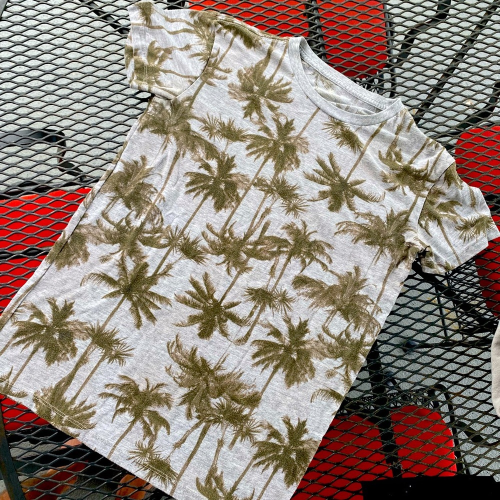 Soft Fun American Eagle Palm Tree Tee.
